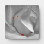 Aeolian Watercolor Plaque Fotoplatte (Vorderseite)