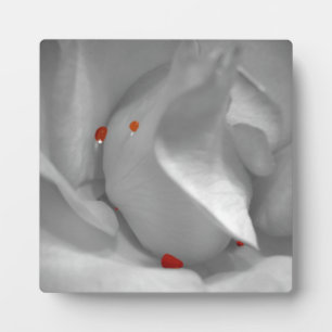 Aeolian Watercolor Plaque Fotoplatte