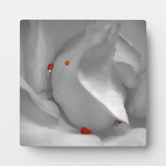 Aeolian Watercolor Plaque Fotoplatte (Vorderseite)