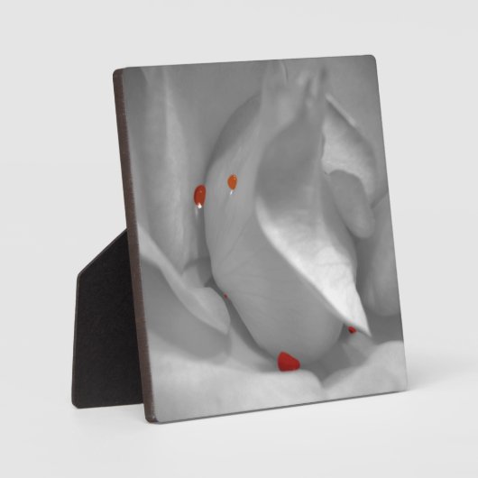 Aeolian Watercolor Plaque Fotoplatte (Vorderseite)