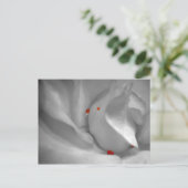 Aeolian Watercolor Postcard Postkarte (Stehend Vorderseite)