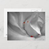 Aeolian Watercolor Postcard Postkarte (Vorne/Hinten)