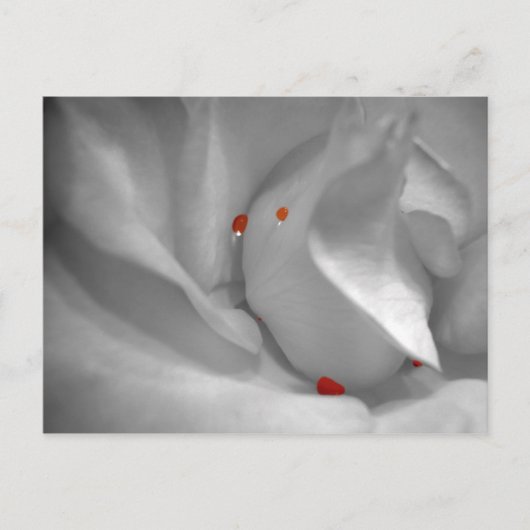 Aeolian Watercolor Postcard Postkarte (Vorderseite)