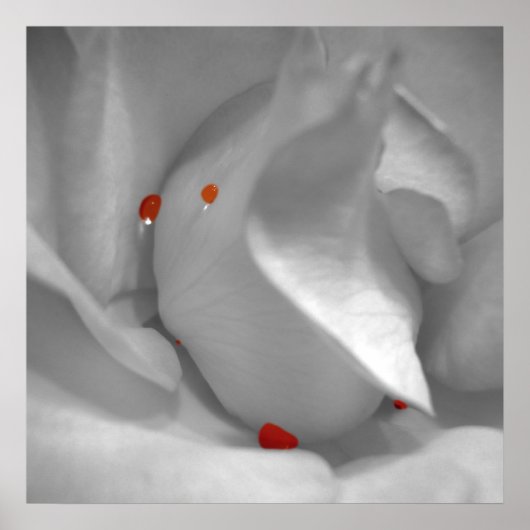 Aeolian Watercolor Print Poster (Vorne)