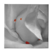 Aeolische Aquarelltöne Fliese (Vorderseite)