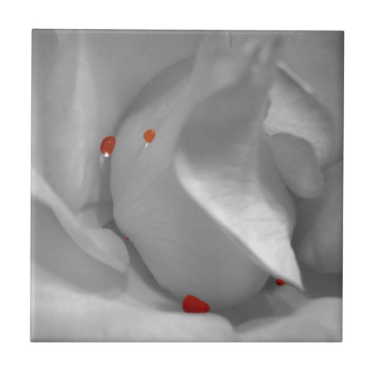 Aeolische Aquarelltöne Fliese (Vorderseite)