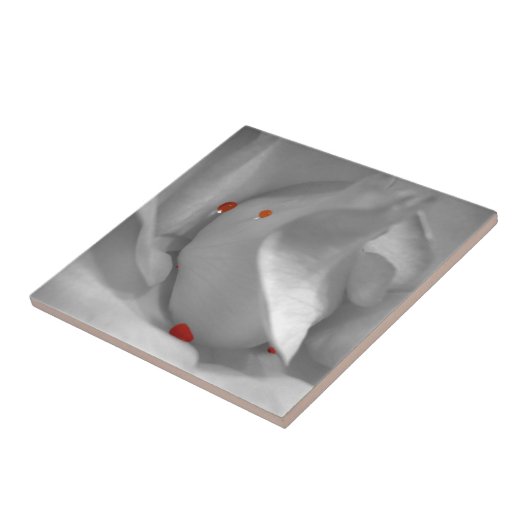 Aeolische Aquarelltöne Fliese (Seite)