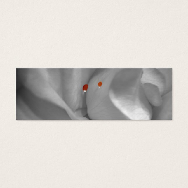 Aeolische Wasserfarben-Lesezeichen (Vorderseite)