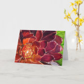 Aeonium Aquarellkarte Karte (Gelbe Blume)