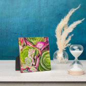 Aeonium Fotoplatte (InSitu)