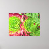 Aeonium Leinwanddruck (Vorderseite)