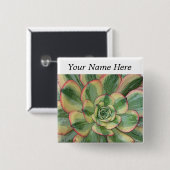 Aeonium-"Sonnendurchbruch" Button-zurück Button (Vorne & Hinten)