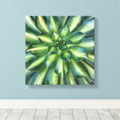 Aeonium 'Sternexplosion'-Leinwand Leinwanddruck (Insitu (Holzboden))