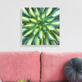 Aeonium 'Sternexplosion'-Leinwand Leinwanddruck (Insitu (Wohnzimmer))