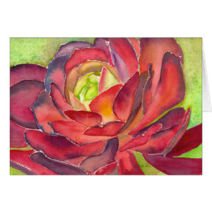 Aeonium Watercolorkarte durch Debra-Lee Baldwin