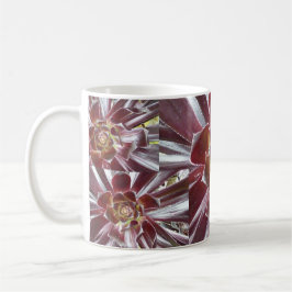 Aeonium Zwartkop Succulent-Tasse Kaffeetasse