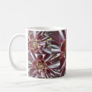 Aeonium Zwartkop Succulent-Tasse Kaffeetasse