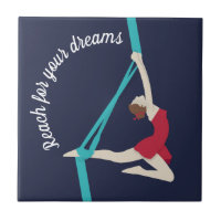 Aerial Silks