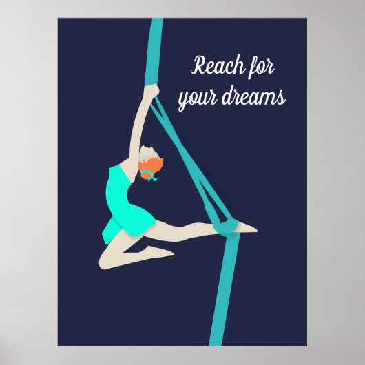 Aerial Silks Poster (Vorne)