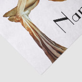 Aerial Yoga Fitness Thunder_Cove Seidenpapier (Ausschnitt)