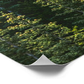 AERIALFOTOGRAFIE DES WALDES POSTER (Ecke)