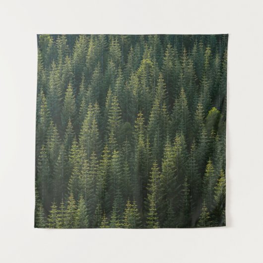 AERIALFOTOGRAFIE DES WALDES WANDTEPPICH (Vorderseite)