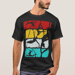 Aerialist Vintage Air Yoga Akrobatik Frauen Aerial T-Shirt