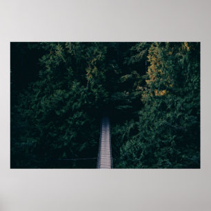 AERIELLE FOTOGRAFIE DER HANGING BRÜCKE IN DER NÄHE POSTER