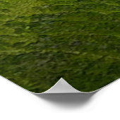 AERIELLE FOTOGRAFIE DER STRASSE POSTER (Ecke)