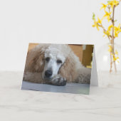 Aero-1 Karte (Gelbe Blume)