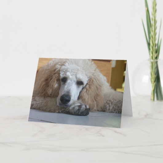 Aero-1 Karte (Vorderseite)