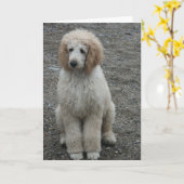 Aero 7 karte (Gelbe Blume)