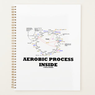 Aerober Prozess innerhalb des Krebs-Zyklus Nerd-Hu Planer