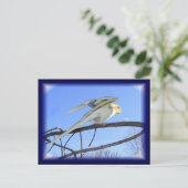 Aerodynamik-Postkarten Postkarte (Stehend Vorderseite)