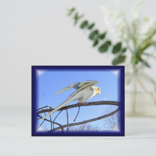 Aerodynamik-Postkarten Postkarte (Stehend Vorderseite)