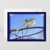 Aerodynamik-Postkarten Postkarte (Vorne/Hinten)