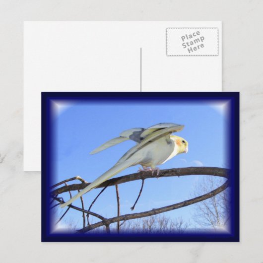 Aerodynamik-Postkarten Postkarte (Vorne/Hinten)