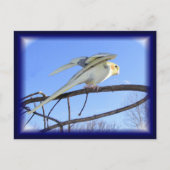 Aerodynamik-Postkarten Postkarte (Vorderseite)