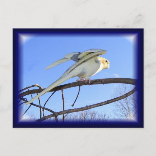 Aerodynamik-Postkarten Postkarte (Vorderseite)