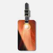 Aeroshell mit Dauerabstieg in die Mars Gepäckanhänger (Vorderseite vertikal)