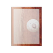 Aeroshell mit Dauerabstieg in die Mars Notizblock (Rotiert)