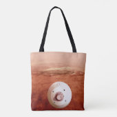 Aeroshell mit Dauerabstieg in die Mars Tasche (Rückseite)