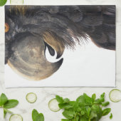 Aert Schouman Bird Head Geschirrtuch (Gefaltet)