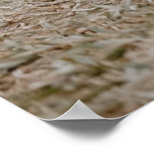 Aesop Danksagung, Affe Poster (Ecke)