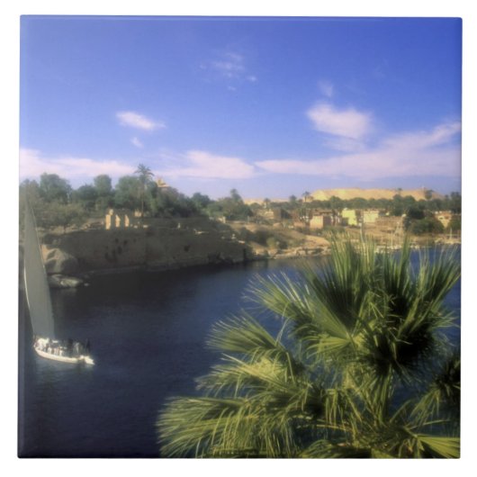 AF, Ägypten, Oberägypten, Assuan. Fluss Nile Fliese (Vorderseite)