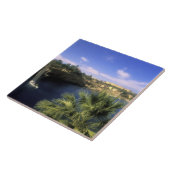AF, Ägypten, Oberägypten, Assuan. Fluss Nile Fliese (Seite)