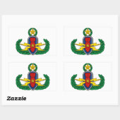 AF EOD Master 3D Rechteckiger Aufkleber (Blatt)