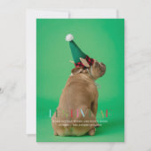 AF Funny Pet Foto Ferienkarte Einladung (Vorderseite)