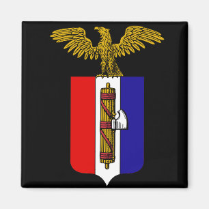 AfA: Alternative für Amerika Magnet