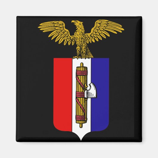 AfA: Alternative für Amerika Magnet (Vorne)